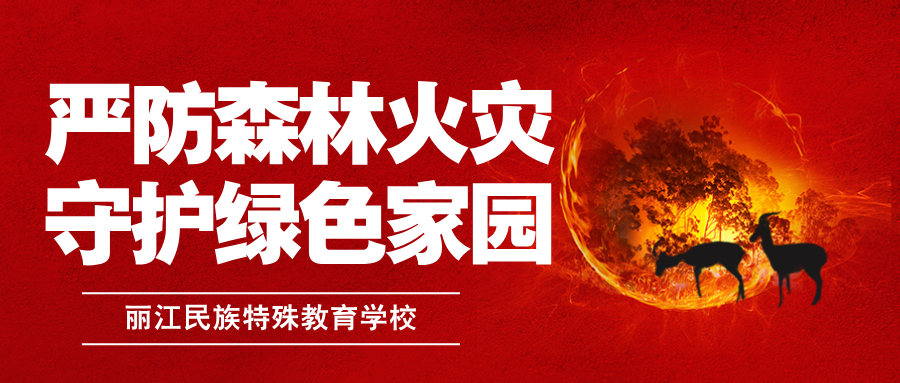 202502281740727906987305.png 202502281740727906987305.png